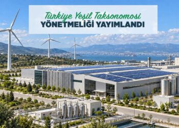 137 Ekonomik Faaliyeti Değiştiren Türkiye Yeşil Taksonomisi Hakkında Bilinmesi Gerekenler